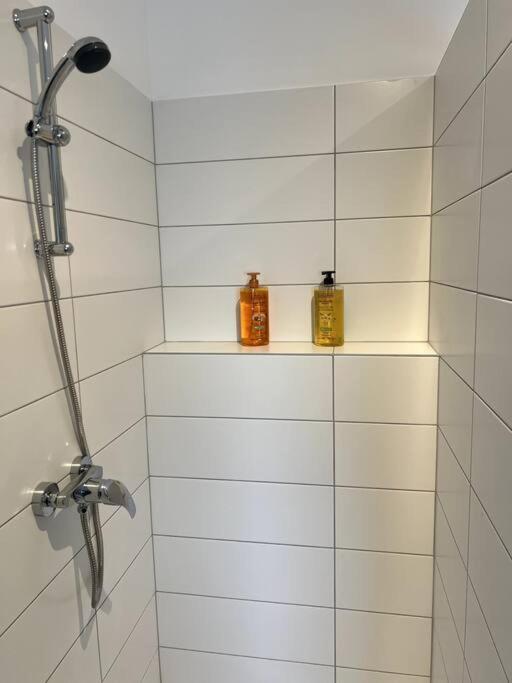 Appartement Duplex Avec Jardin Ingersheim Extérieur photo
