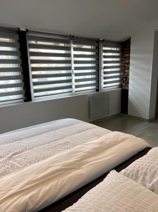 Appartement Duplex Avec Jardin Ingersheim Extérieur photo